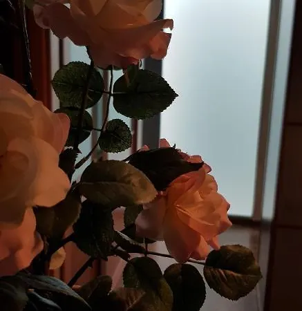 La Casa De Heracles Apartment